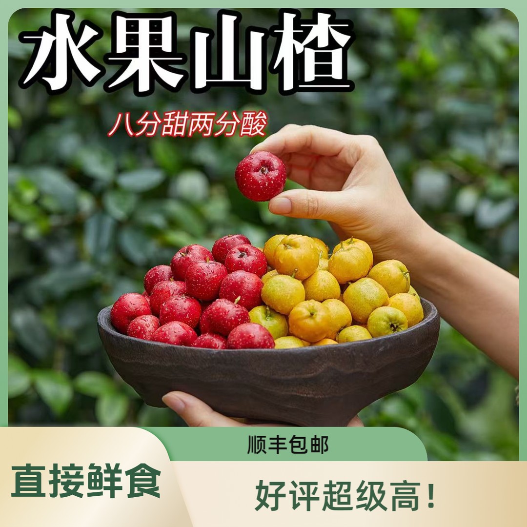 顺丰红黄甜山楂现摘新鲜果甜红子金如意口感独特产地直发