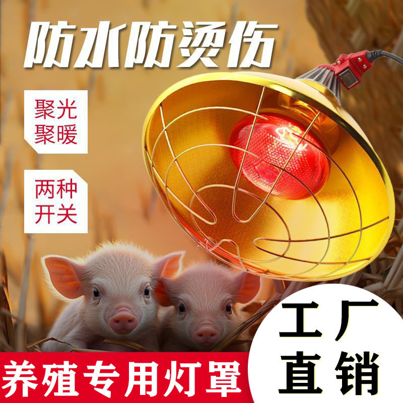 养殖专用加厚保温灯罩金属防水取暖聚光灯仔猪宠物可调加热灯罩,畜牧/养殖物资,畜牧/养殖器械,淘宝优惠券,粉丝福利购,淘宝优惠卷