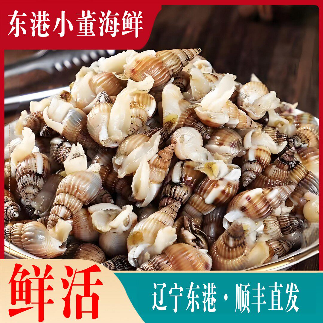 580粒东港鲜活海锥海螺丝保活保鲜顺丰发货