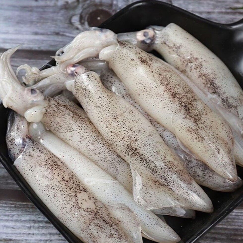 优选新鲜速冻野生公大海兔笔管鱼无籽     新鲜速冻