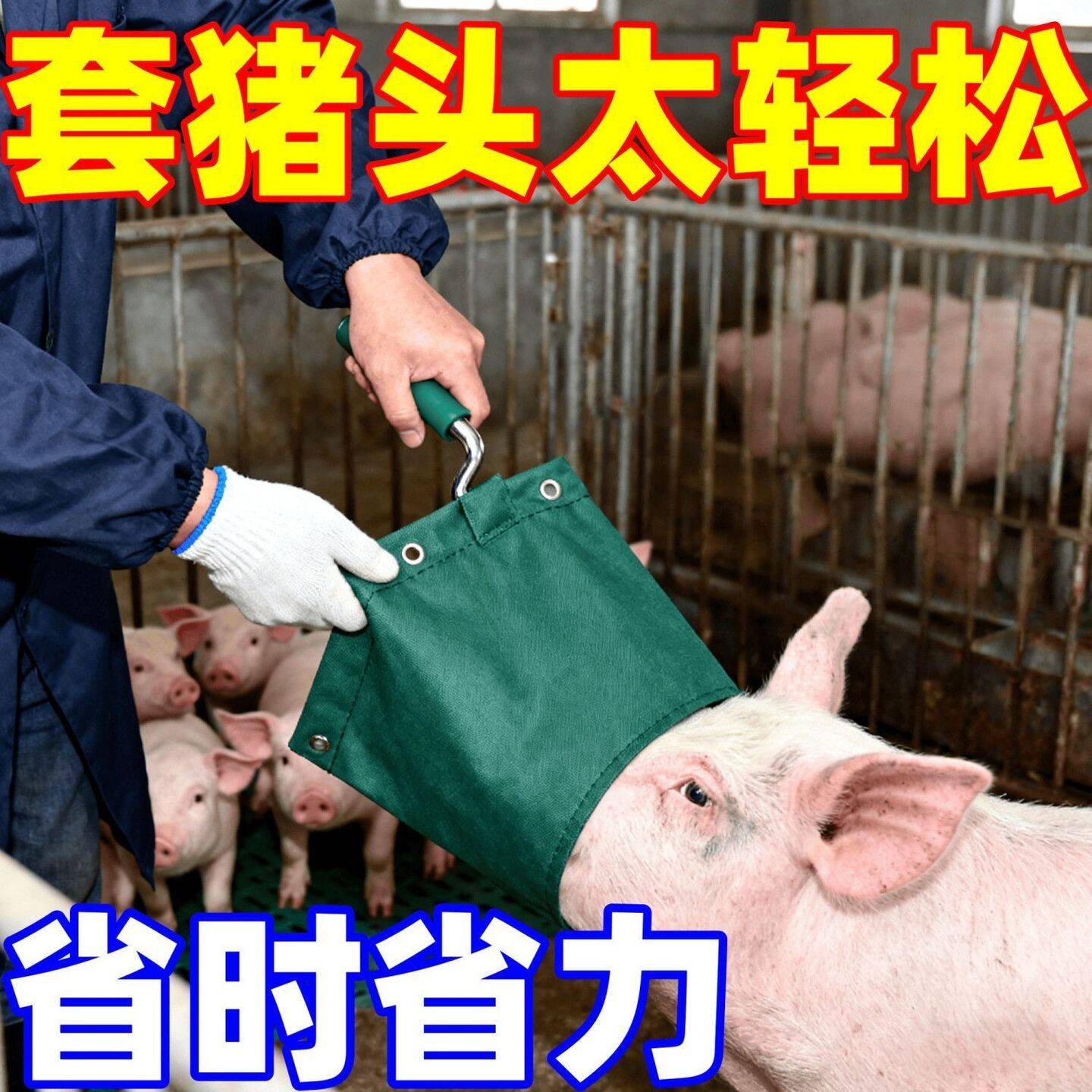 新款专用加厚工具养猪厂猪袋子养殖场袋蒙猪头套猪头套猪头套加厚,畜牧/养殖物资,赶猪器,淘宝优惠券,粉丝福利购,淘宝优惠卷