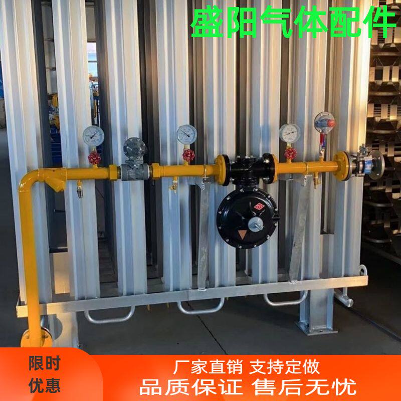 100立方500立方空温式气化器 天然气LNG汽化器调压撬减压撬厂家