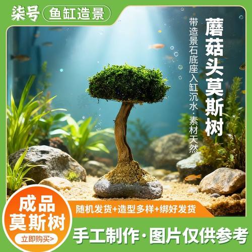 莫斯树鱼缸树真树沉木水草懒人造景无需底沙大蘑菇头鱼缸造景摆件