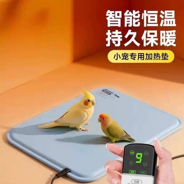鹦鹉加热垫小型宠物电热毯可控温防水恒温垫迷你电褥子取暖发热垫