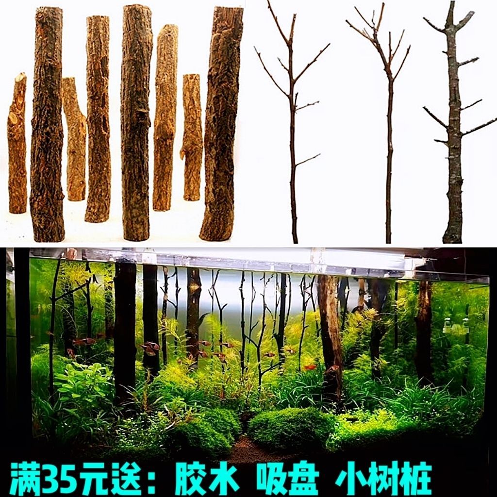 鱼缸沉木森林树干水草造景红杉木雨林缸装饰乌龟缸杜鹃根香槟树枝