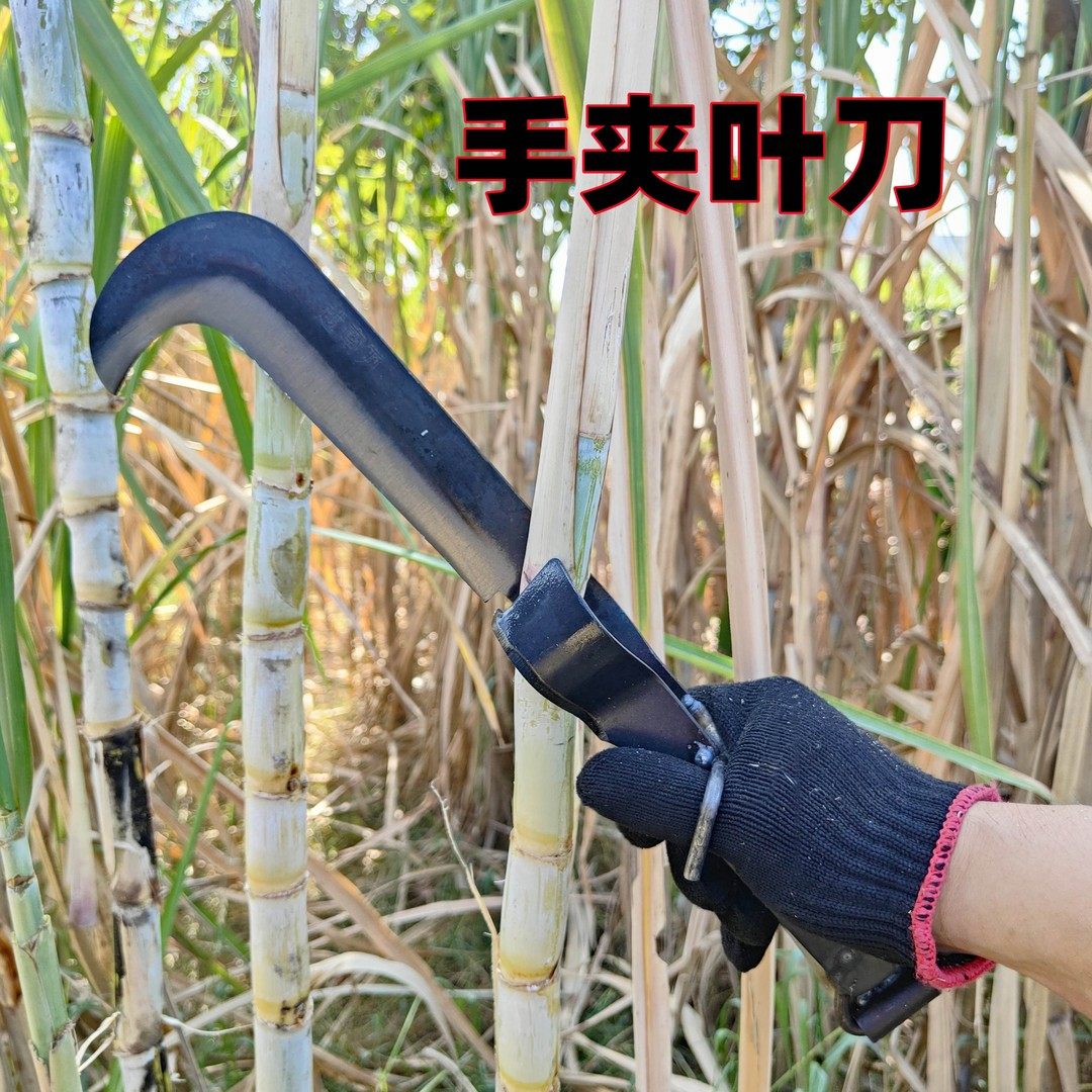 砍收甘蔗夹叶刀快速高效多用途手动推削剥甘蔗叶子修甘蔗专用农具,鲜花速递/花卉仿真/绿植园艺,锄头,淘宝优惠券,粉丝福利购,淘宝优惠卷