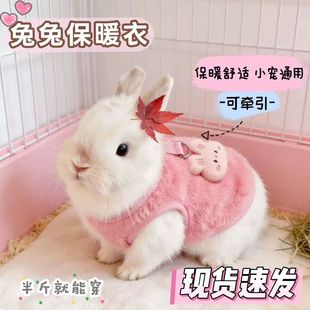 宠物小兔子穿的衣服外出牵引遛绳A保暖侏儒兔幼兔荷兰猪龙猫专用