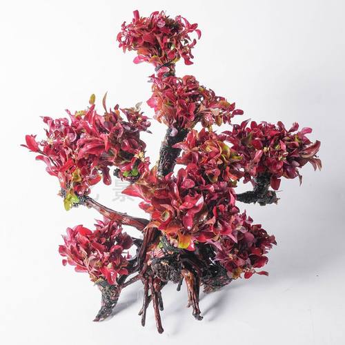 懒人沉木水草新手鱼缸造景淡水植物水榕活体水族箱增氧水下装饰草