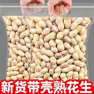 新炒原味花生柴火炒花生带壳原味花生铁锅农家红皮花生年货休闲下