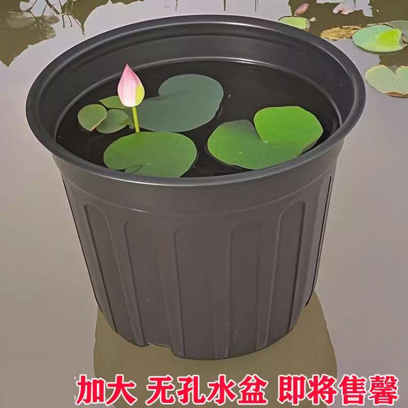 黑色加厚加大5加仑水盆荷花盆水生植物培育盆睡莲盆营养钵不漏水