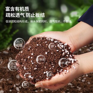 竹子专用土营养土盆栽土种植竹类通用有机土壤透气肥沃绿植泥碳土