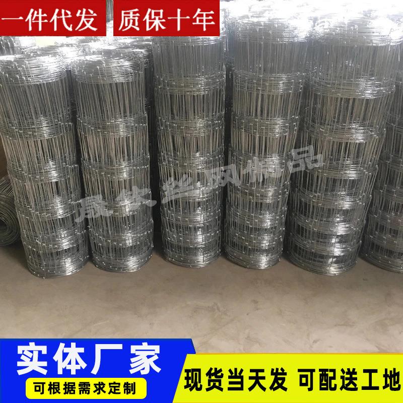 养殖网铁丝围栏网鸡牛羊圈养围栏防护网半钢镀锌牛栏网出口厂家