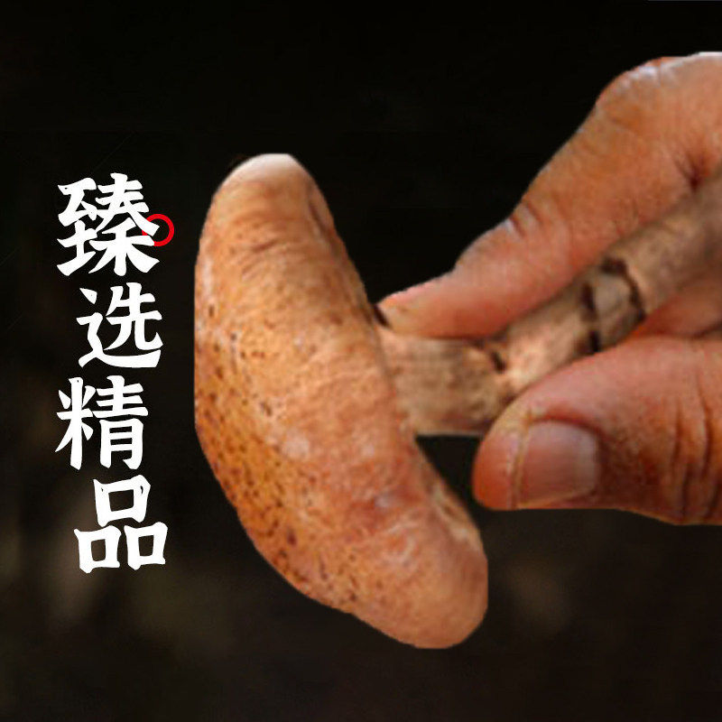 北大荒榛蘑干200g 东北特产山珍干货 官方正品榛菇菌菇蘑菇礼盒装