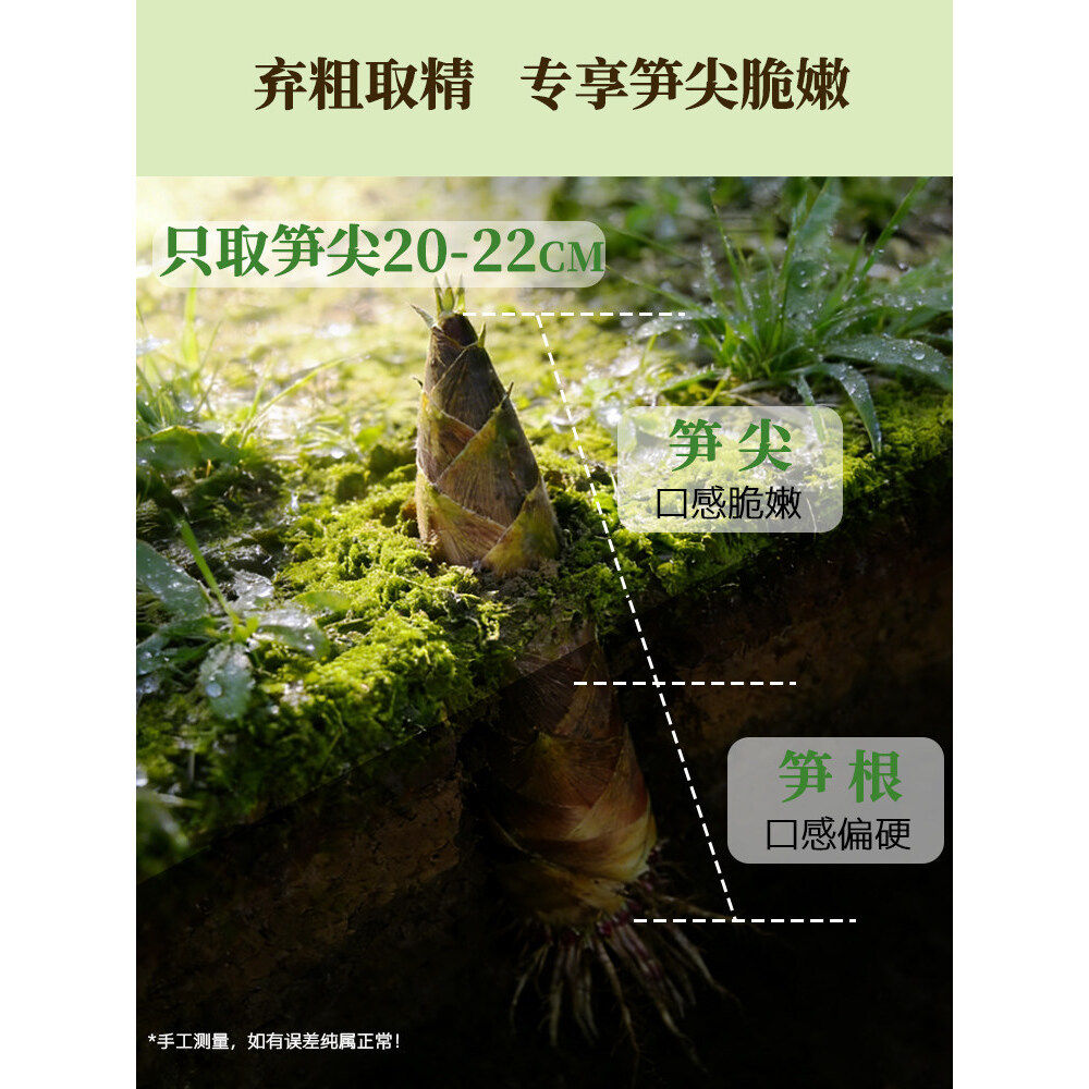 安吉特产即食泡椒味手剥竹笋尖香辣手拨新鲜脆零食火锅食材官方旗