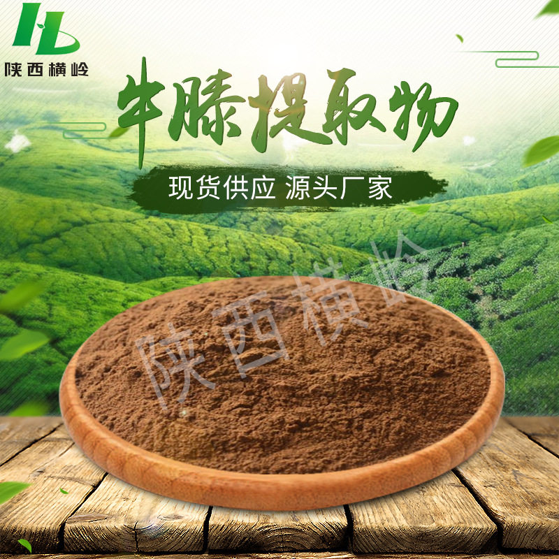 怀牛膝提取物原料 50:1规格怀牛膝提取物 怀牛膝粉原料现货官方旗