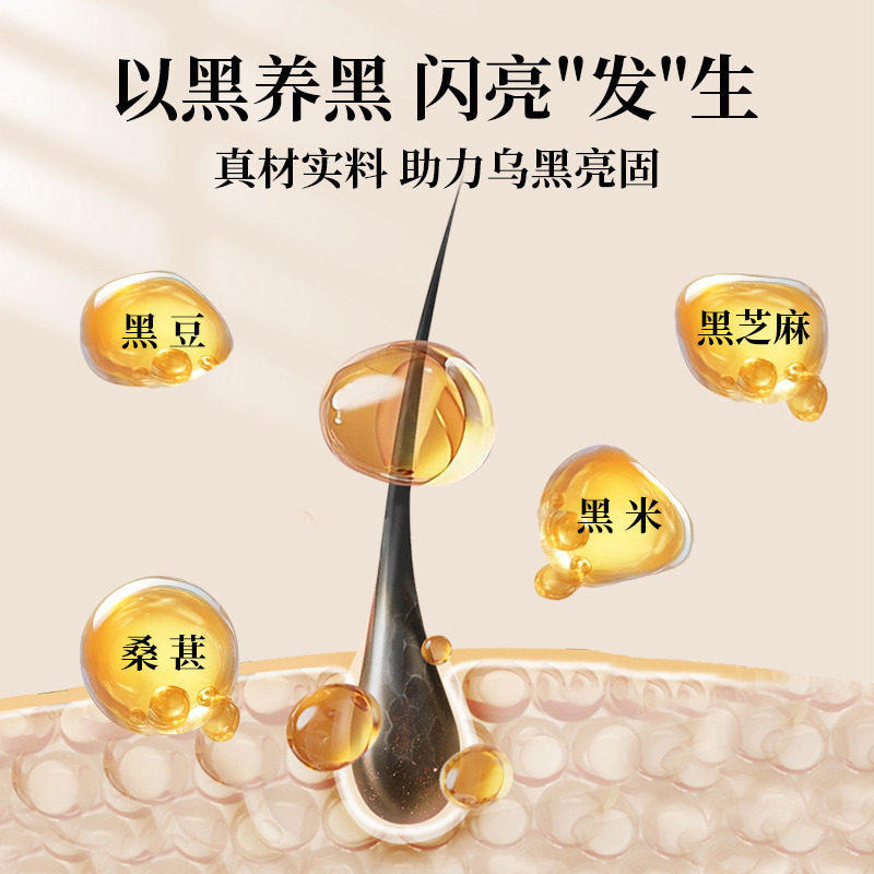 黑芝麻糊五黑粉核桃黑豆粉养代餐