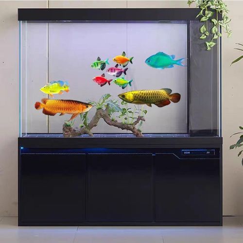 鱼缸客厅家用落地超白玻璃底过滤办公室水族箱免换水生态红龙缸