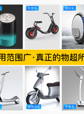 麦迪瑞锂电池电动车自行车充电器24V36V48V10AH42V2A54.6V3A包邮