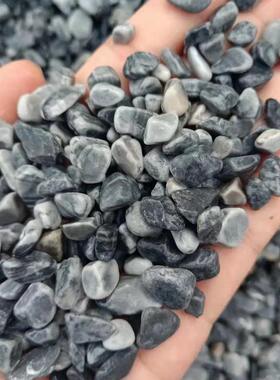 水洗石庭院绿化用灰色石子造景铺面用水磨石碎石