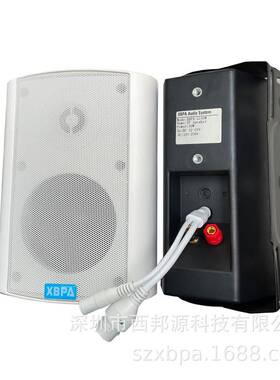 学校校园教室壁挂式IP网络广播同轴喇叭音箱20W/30W/40W/50瓦/60W