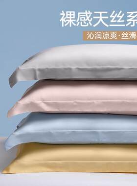 200支天丝枕套一对装48x74轻奢高级感家用四季单人真丝枕头套夏季