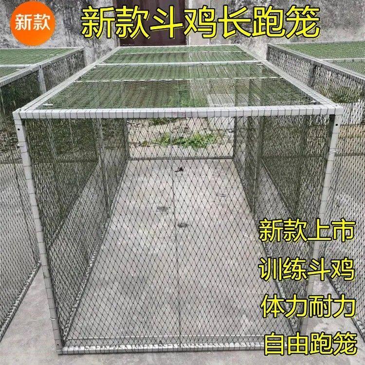 斗鸡用品 斗鸡长跑笼 组装跑笼 单罩笼 双层折叠跑笼 训练用品