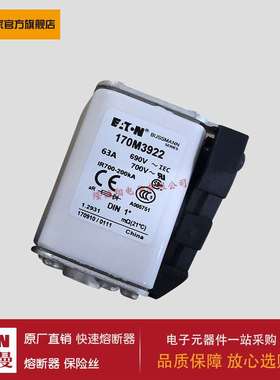 熔断器170M8610 170M8611 170M8612 170M8613 170M3921 170M3922