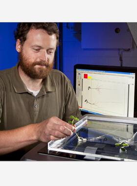 FG-RIAS植物根系分析系统V850PRO扫描仪根系整体结构分布分析仪
