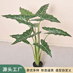 新款仿真萨利安海芋植物家居客厅造景摆件假树海芋盆栽假绿植装饰