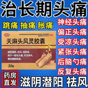 虎贞清风麻一丹天麻头风灵胶囊手脚麻木专用药偏头痛特效用药pt