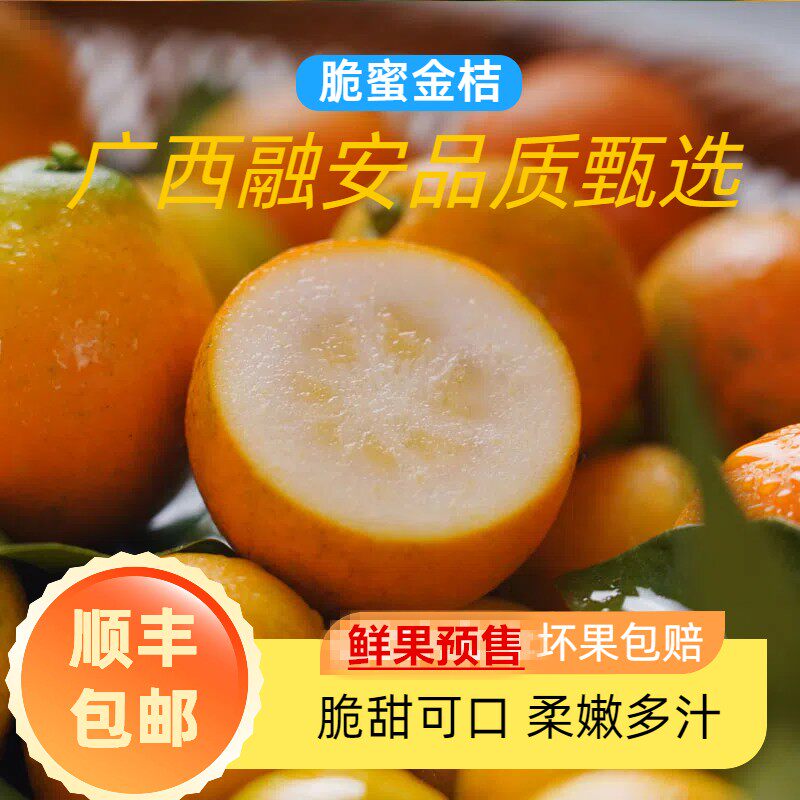 福利精品广西第三代当季融安脆蜜金桔顺丰包邮 皮薄果纯甜多汁/