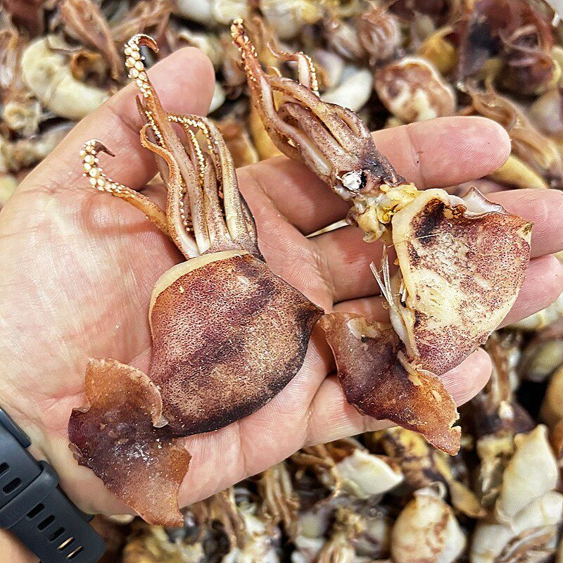 琳妈精选开片鱿鱼海鲜肉片海兔片非足干半干货冷链发货