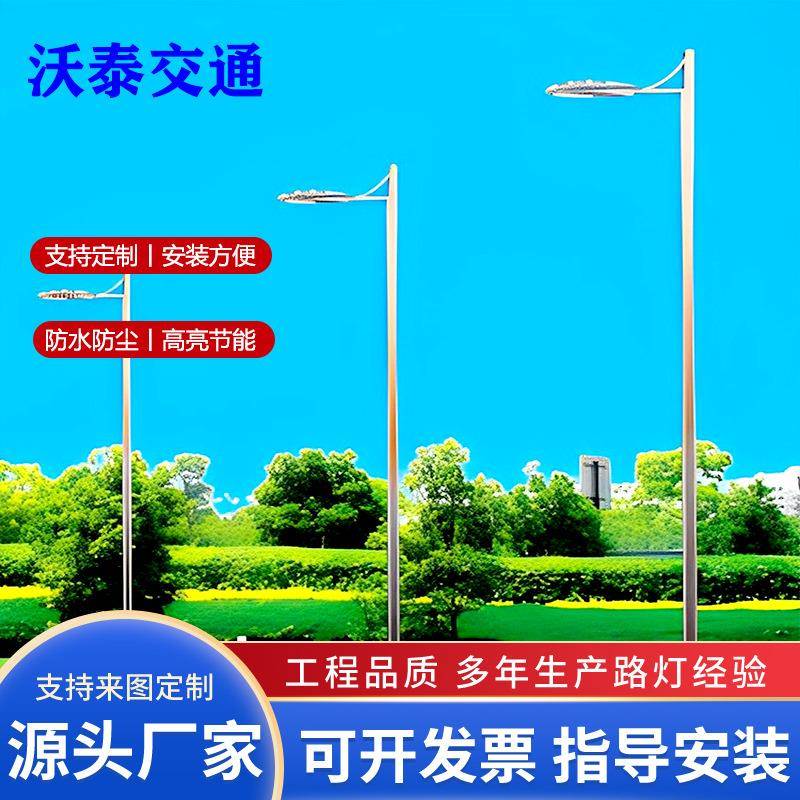 LED路灯户外照明路灯单双臂户外路灯厂家直销6810米路灯