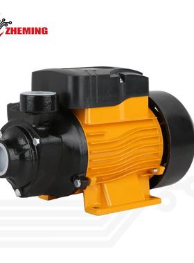 QB60直流漩涡泵12V24V高扬程大流量家用农用地面泵DCsolarpump