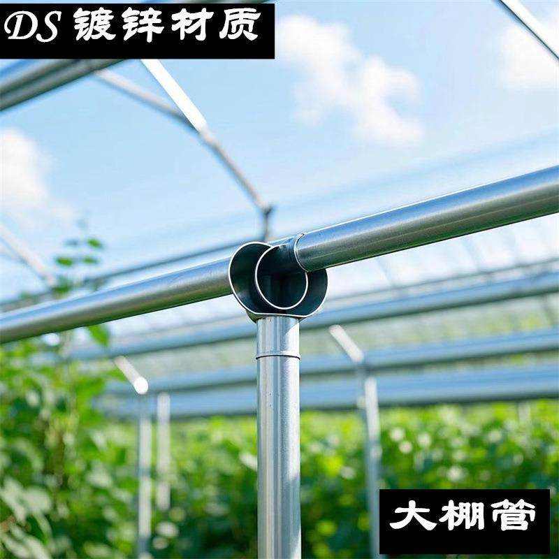 龙骨大棚管现货 供应 育苗温室大棚用热镀 锌圆管 椭圆管折弯加工,鲜花速递/花卉仿真/绿植园艺,割草机/草坪机,淘宝优惠券,粉丝福利购,淘宝优惠卷