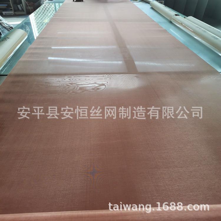 电磁屏蔽磷铜网 过滤耐磨磷铜筛网 60目*0.12mm磷铜丝网 锡青铜网