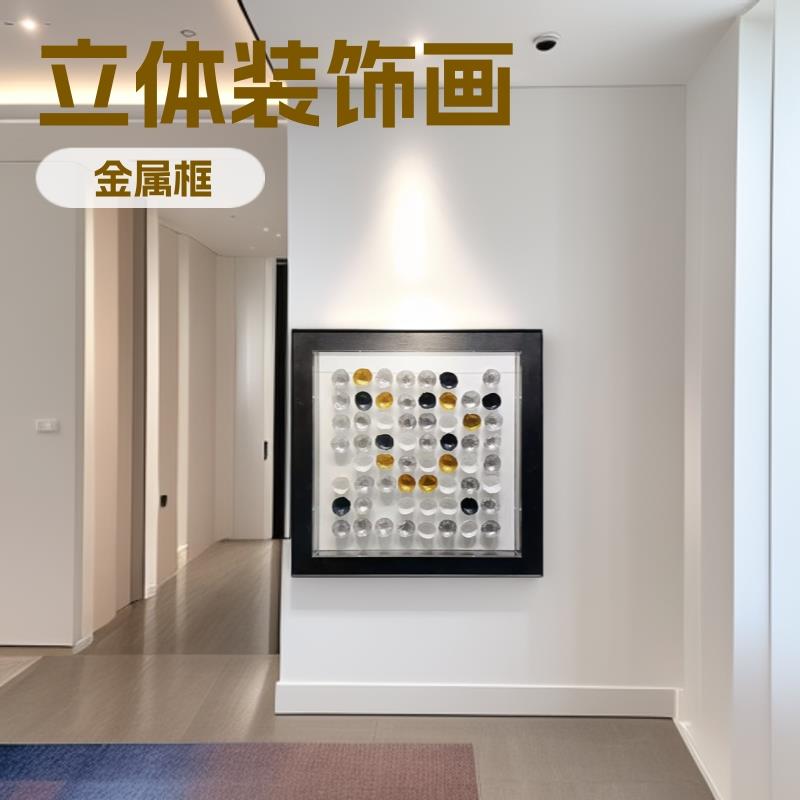现代小立体手工玄关装饰画实物装置简约客厅挂画亚克力罩样板房
