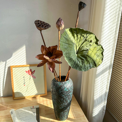 莲蓬干花花束客厅摆设装饰轻奢高档高级感高端天然荷花真花大摆件