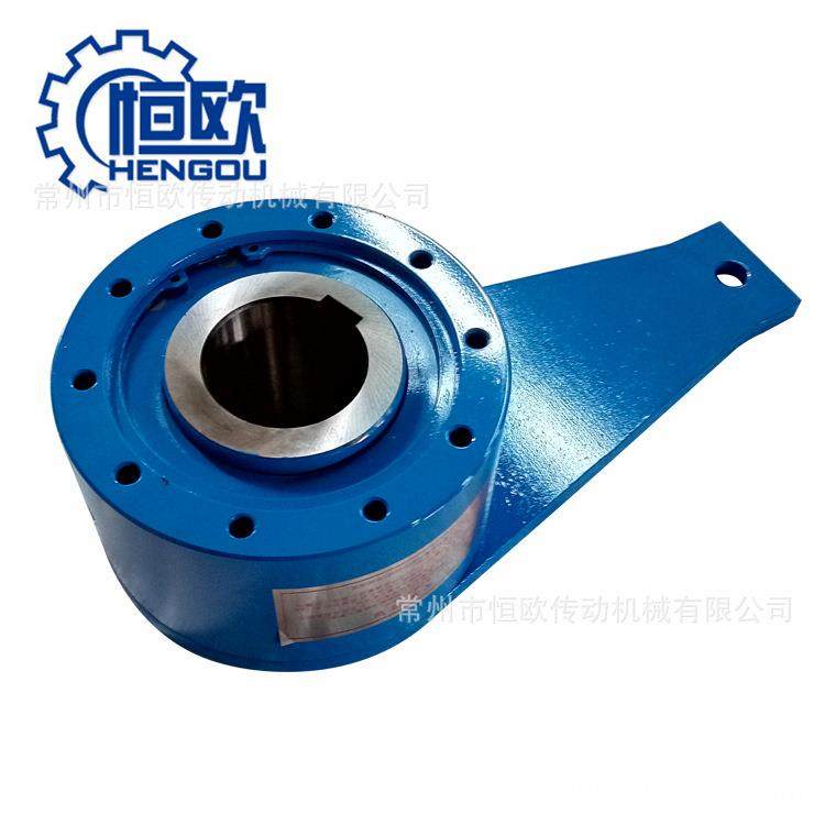 供应大扭矩低噪音NJ160水泥厂提升机逆止器