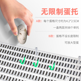 乌龟孵化盒南石蛋无介质孵化盆水陆龟石龟爬宠蜥蜴蛇蛋防抖孵化器