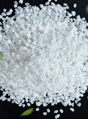 50斤纯白石英砂酒店垃圾桶烟灰缸沙白色细沙水处W理过滤造景沙