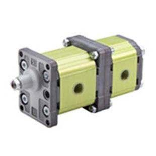 维沃尔9M202ECA5547欧洲原装 进口多联齿轮泵进口液压齿轮泵