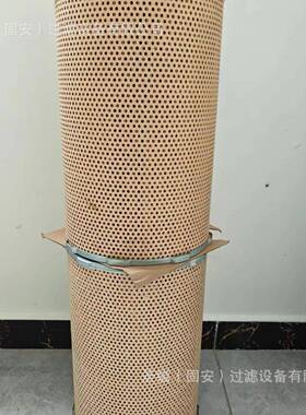 53C06163000501燃油滤芯FS19934FS19592222380417801-3380空