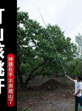 松打碳素杆打杆塔杆果实板栗山核桃核桃伸缩杆采摘松子打