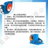 工业防腐离心通风机200cm尺寸800mm直径风轮