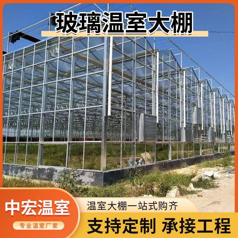 花卉育苗玻璃温室大棚遮阳遮阴连栋温室大棚农业种植养殖大棚