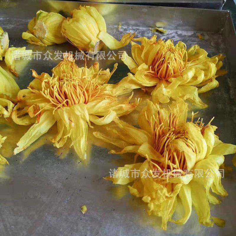 机械鲜花莲花冷冻干燥机金花茶真空冻干机果蔬冻干设备