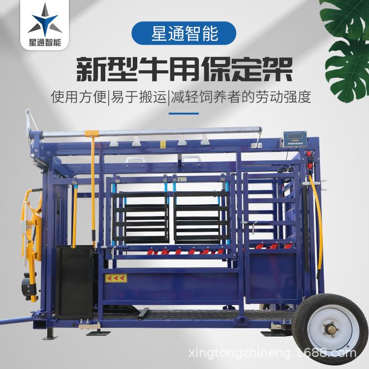 厂家直销牛用保定架加厚围栏防滑通道方便移动肉牛养殖管理智慧