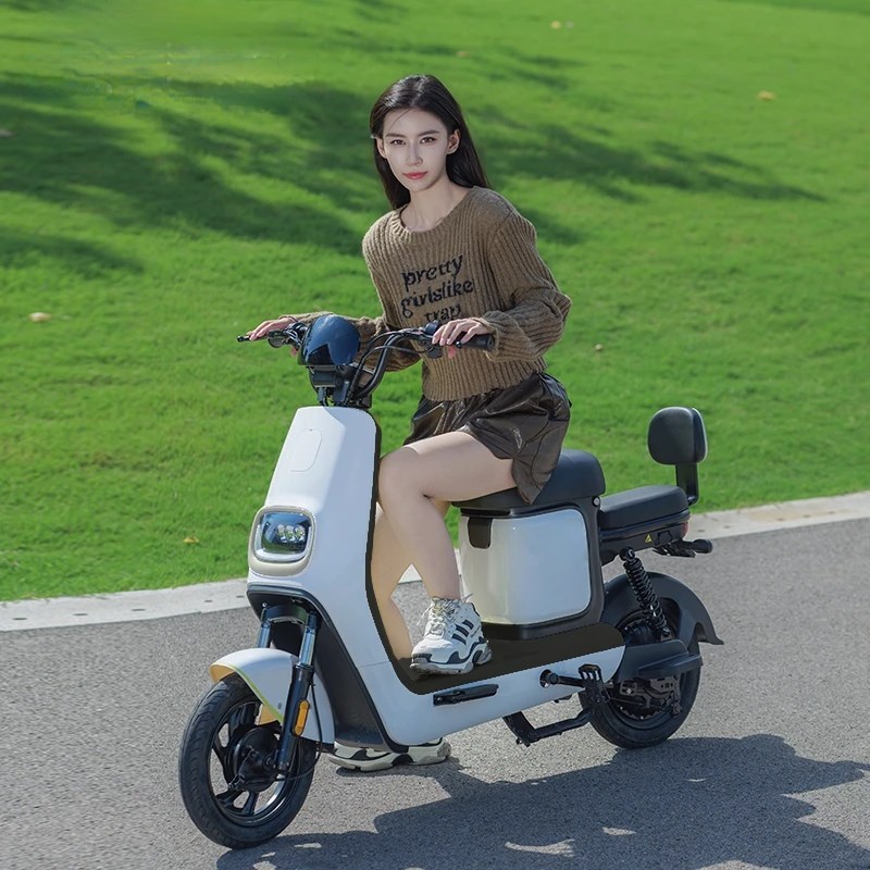 新国标锂电动车双人轻便代步车小型男女款电动车成人电动自行车