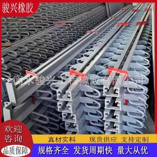 桥梁伸缩缝桥面变形缝毛勒式浅埋型装置异型钢伸缩缝